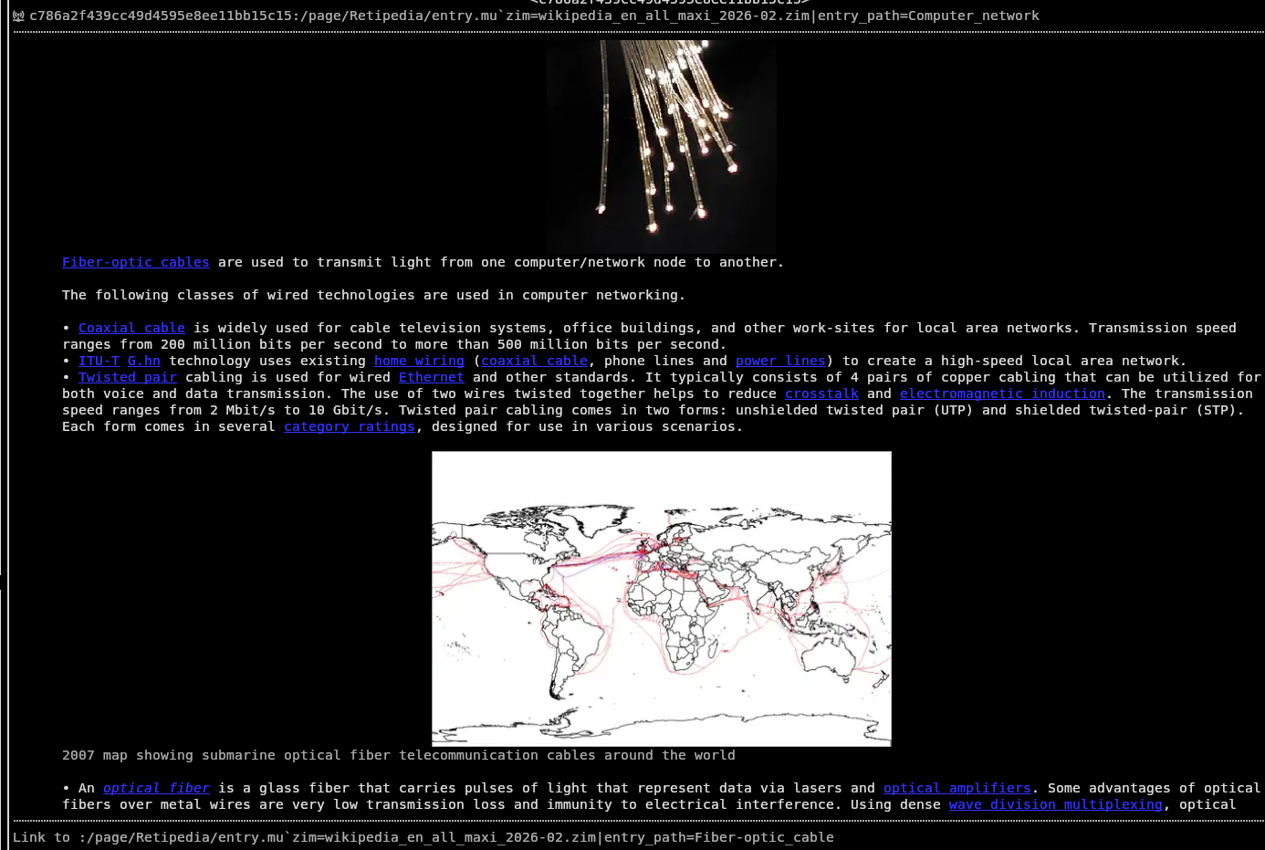 A screenshot of Wikipedia maxi in Retipedia